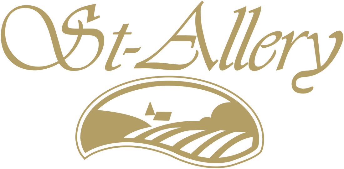 st-allery logo