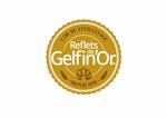 Logo Reflets de Gelfin'Or