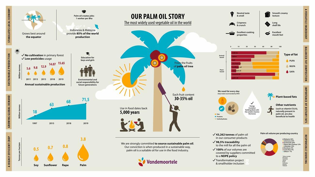 PALMOIL_INFOGRAPHIC